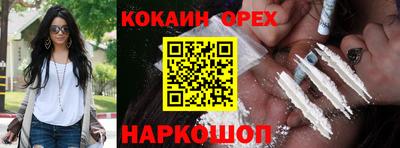 мет Камышлов