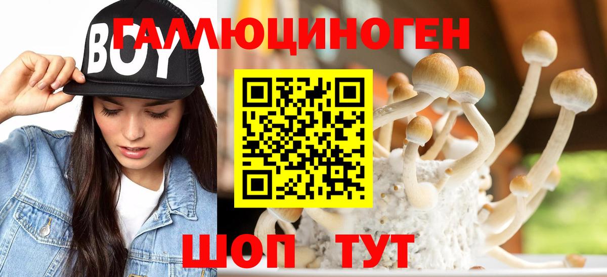 Псилоцибиновые грибы Psilocybe  Псилоцибиновые грибы Magic Shrooms  Вход с VPN  Крымск 