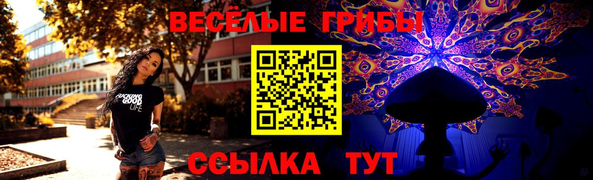 Псилоцибиновые грибы GOLDEN TEACHER Крымск